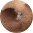 zand logo